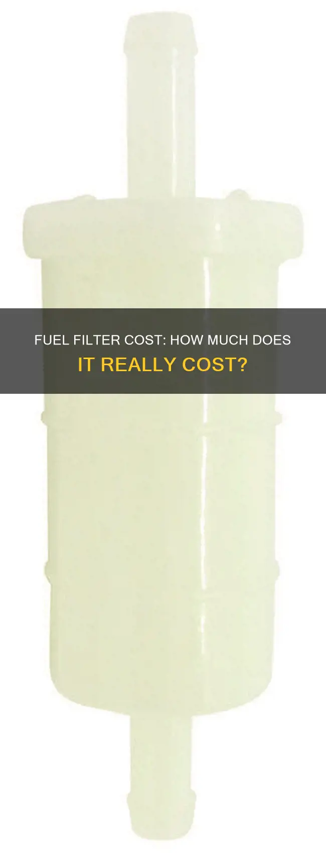 how much is a fuel filter cost
