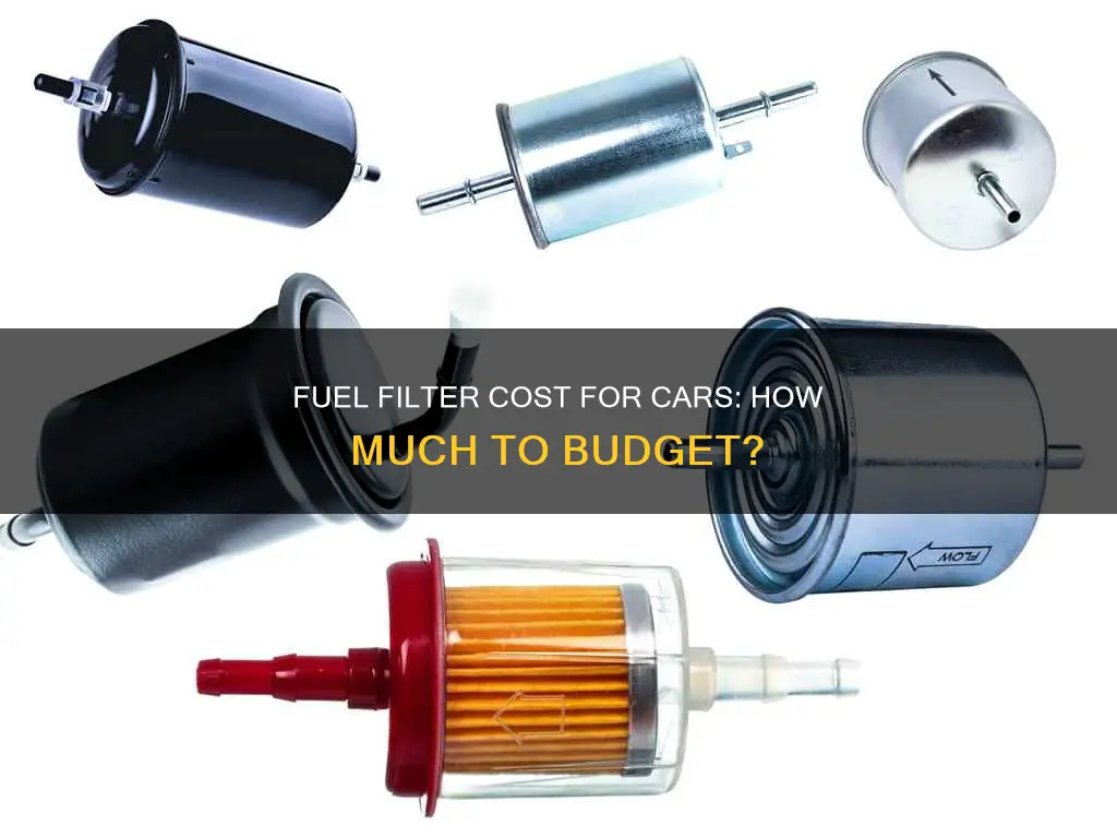 how much is a fuel filter for a car