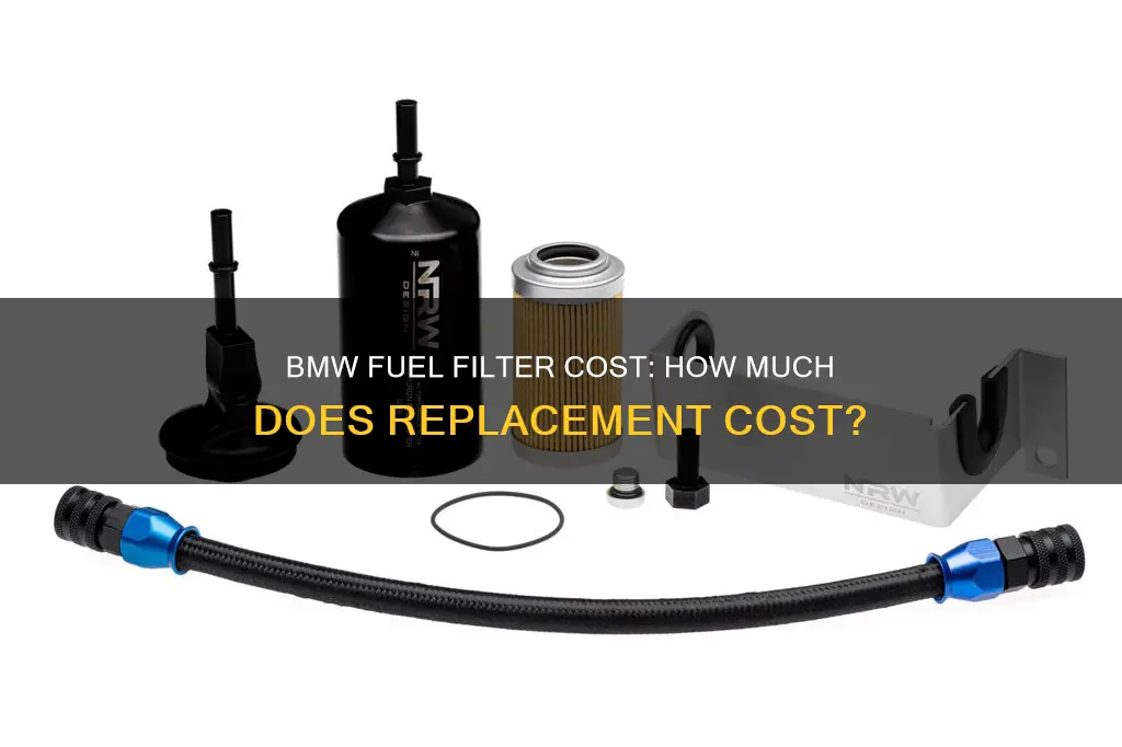 how much is a fuel filter for bmw