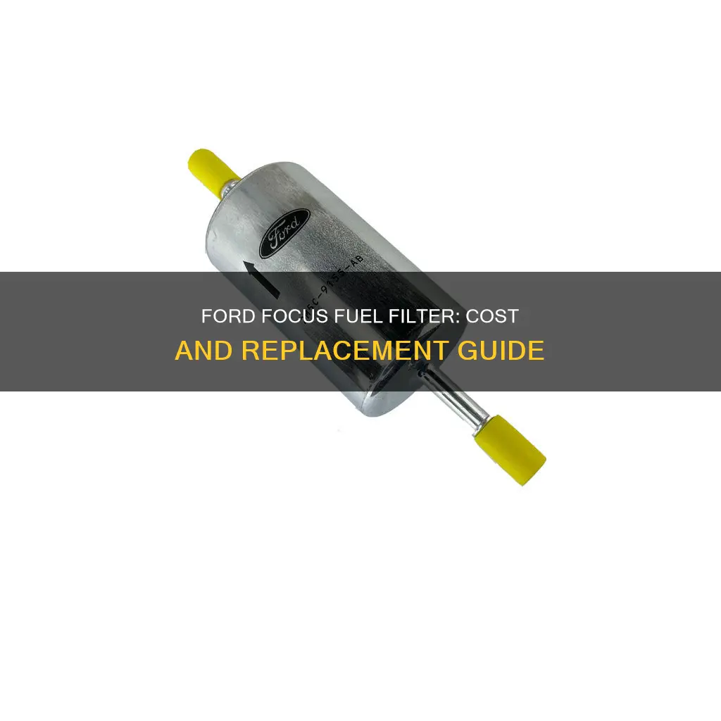 how much is a fuel filter for ford focus
