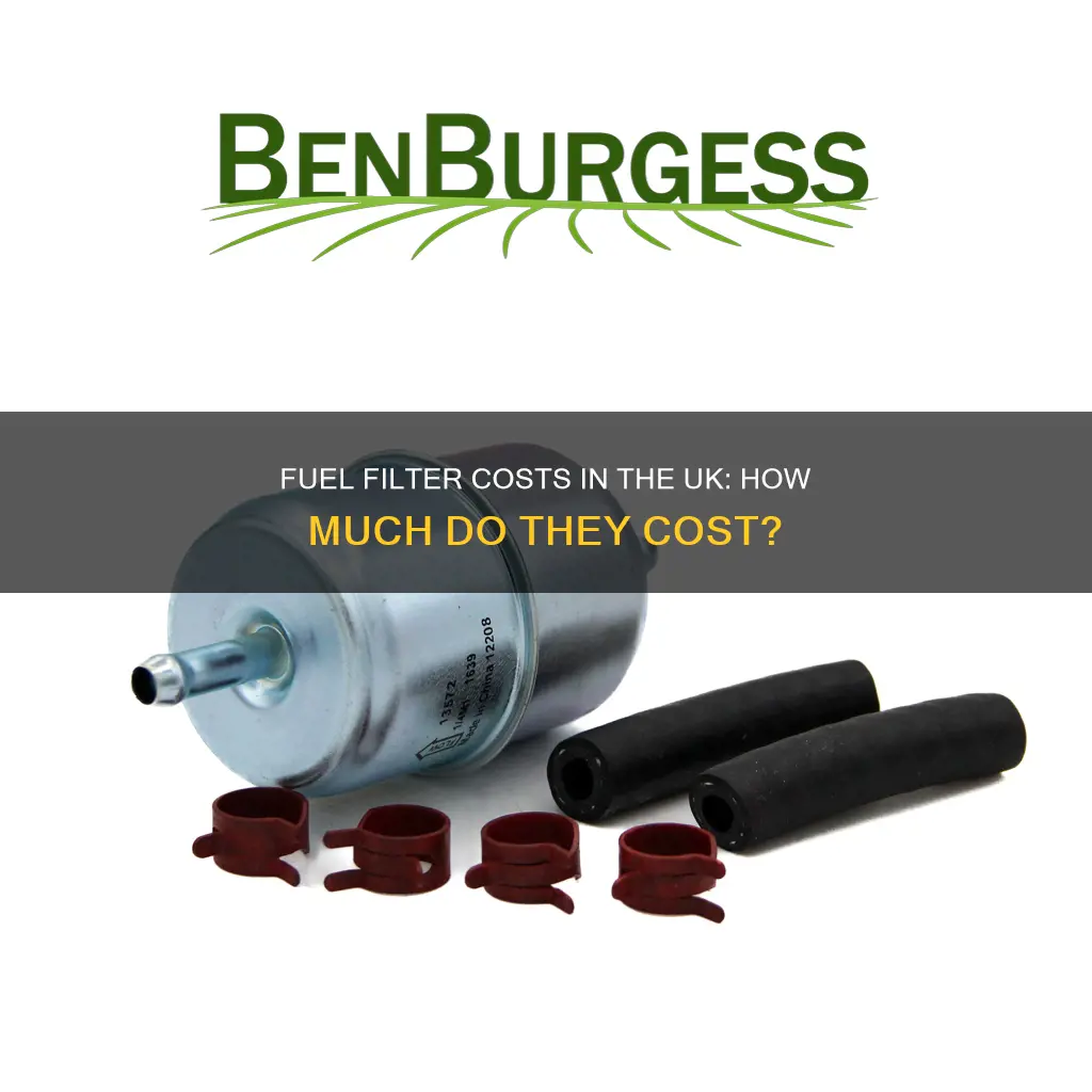 how much is a fuel filter uk