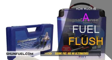 Fuel Flush Costs: What You Need to Know