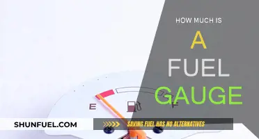 Fuel Gauge Cost: A Necessary Expense