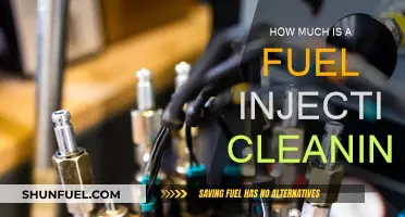 Fuel Injection Cleaning: Cost and Benefits