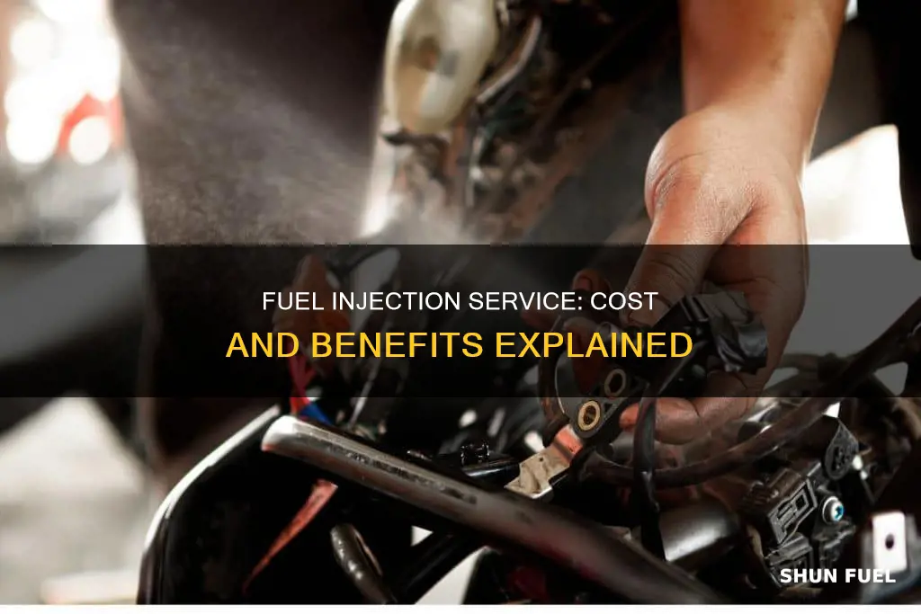 how much is a fuel injection service