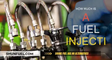 Fuel Injection Cost: Expensive or Affordable?