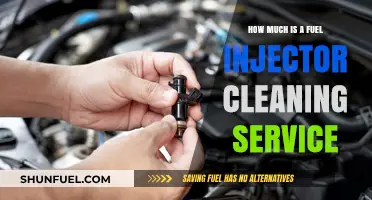Fuel Injector Cleaning: Cost and Service
