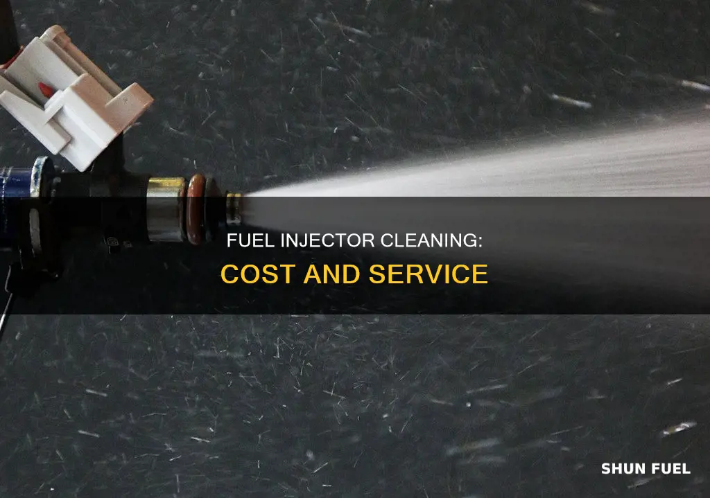 how much is a fuel injector cleaning service