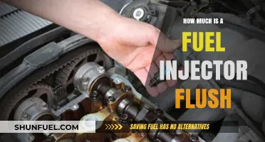 The Cost of Fuel Injector Flush: How Much?