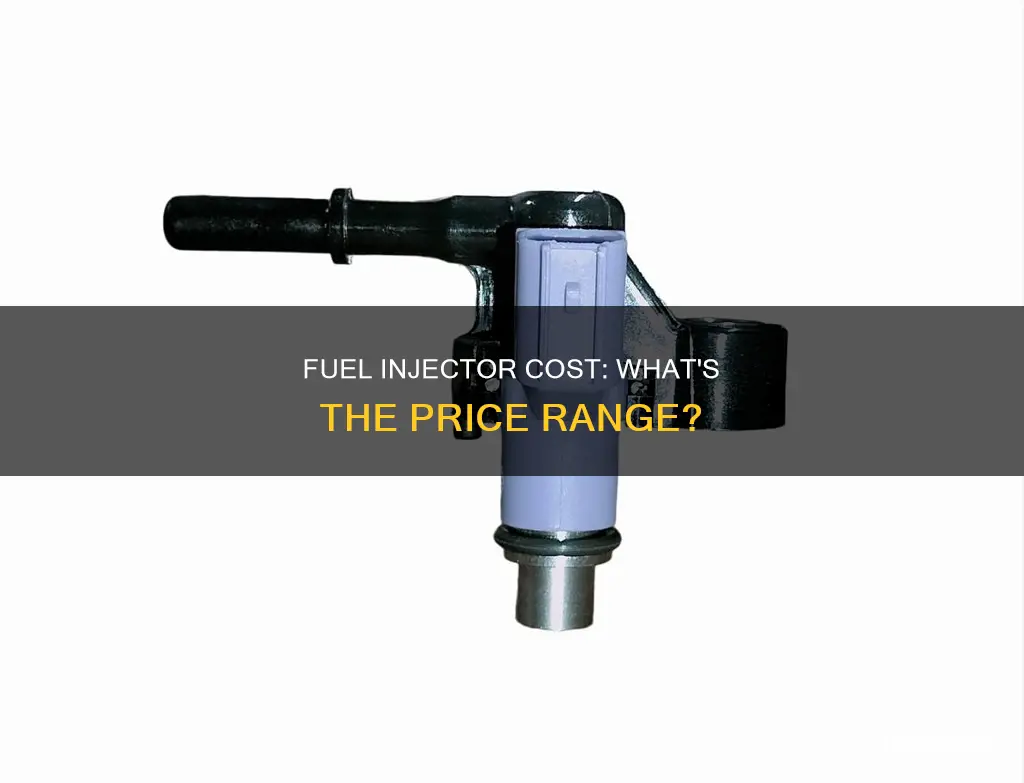 how much is a fuel injector
