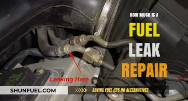 Fuel Leak Repair Costs: How Much Damage?