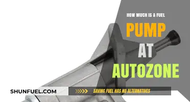 Fuel Pump Cost at AutoZone: How Much?