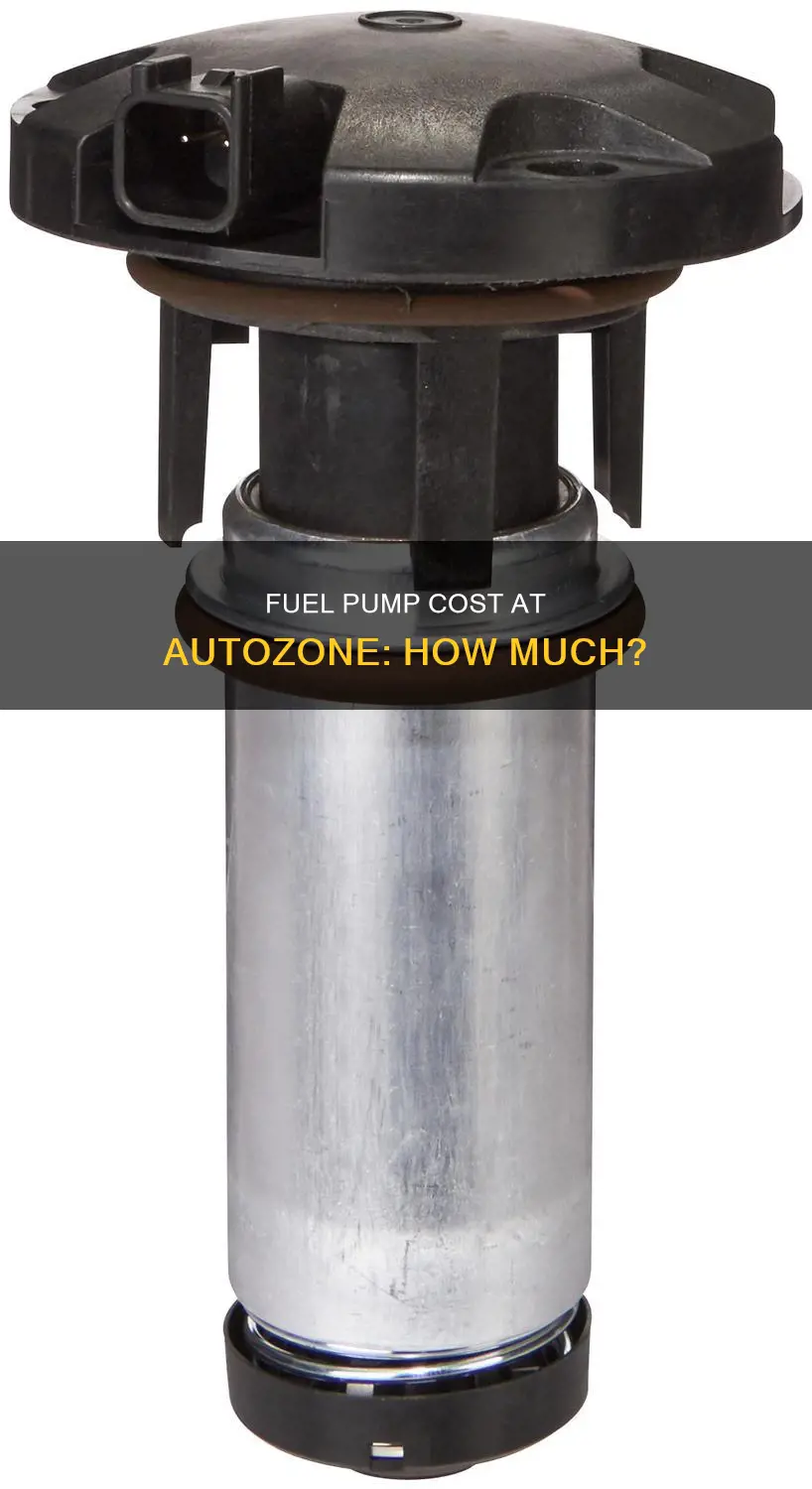 how much is a fuel pump at autozone