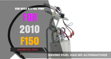 Fuel Pump Replacement Cost for 2010 F-150