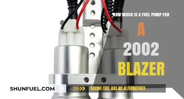 Fuel Pump Replacement Cost for Your 2002 Blazer