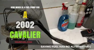 Fuel Pump Replacement: 2002 Cavalier Cost Guide