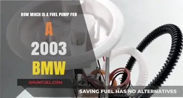 BMW Fuel Pump Replacement: Cost and Compatibility