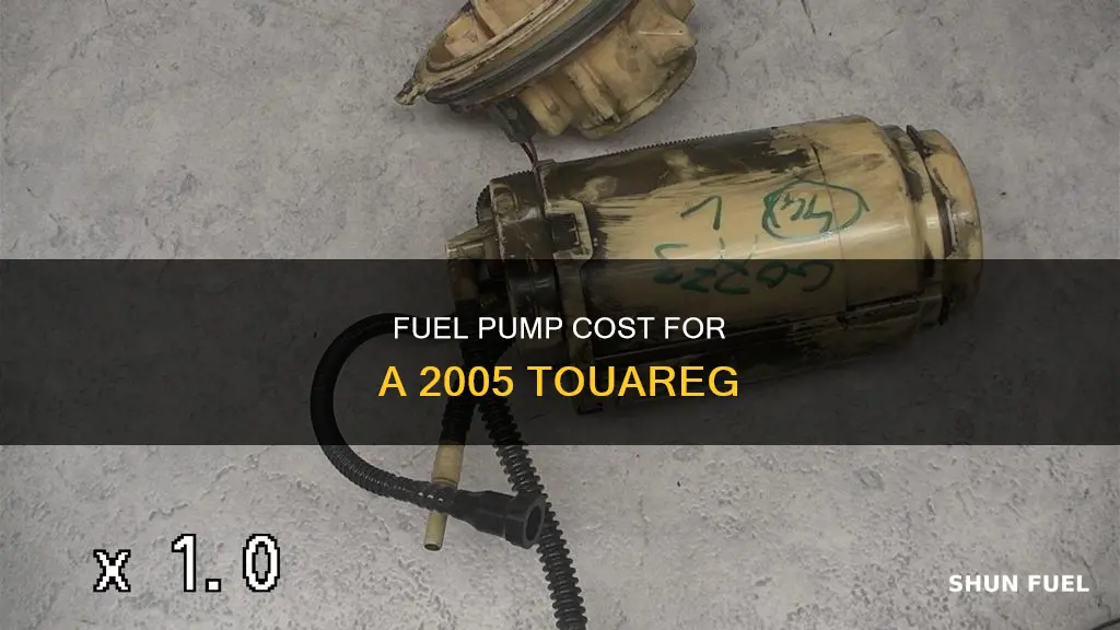how much is a fuel pump for a 2005 tourege