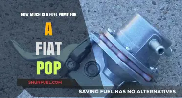 Fuel Pump Cost for Fiat Pop: How Much?