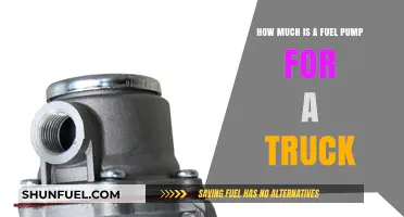 Fuel Pump Replacement: Cost and Truck Maintenance