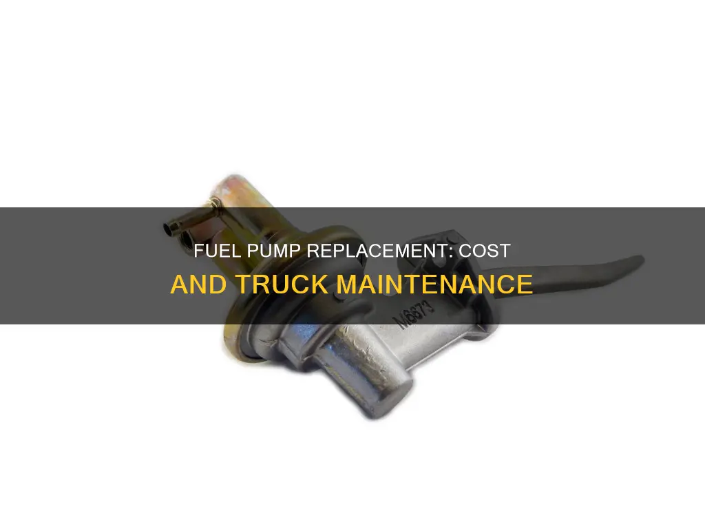 how much is a fuel pump for a truck