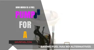 Fuel Pump Costs: How Much Does It Really Cost?