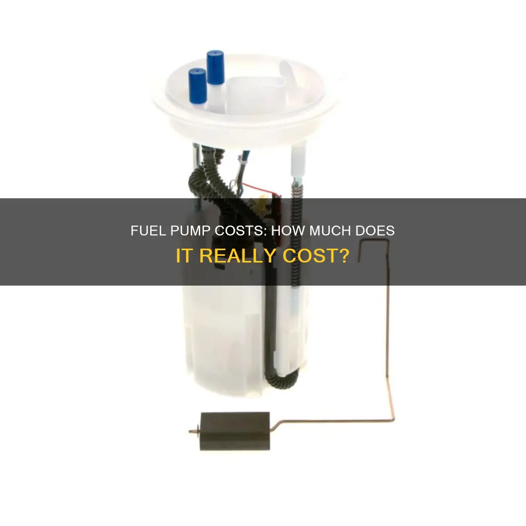 how much is a fuel pump for a