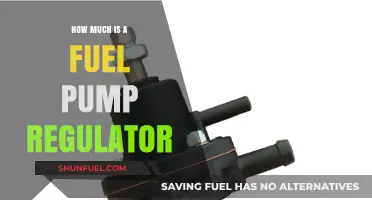 Fuel Pump Regulator: Cost and Replacement