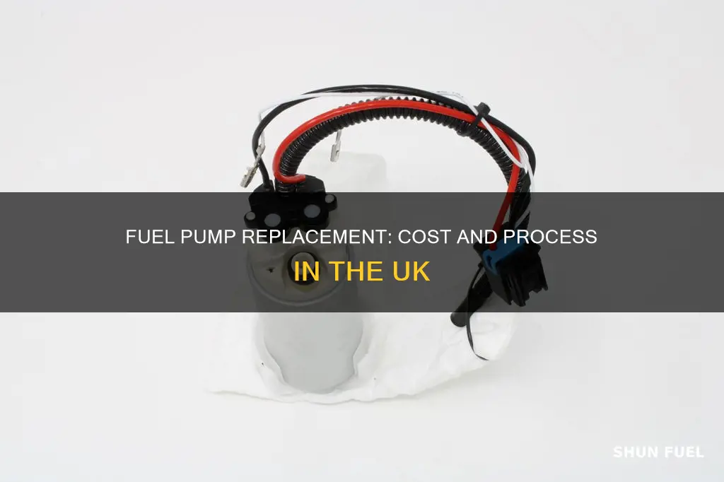 how much is a fuel pump replacement uk