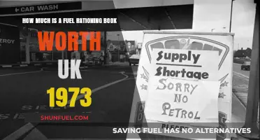 The Value of UK Fuel Rationing Books in 1973