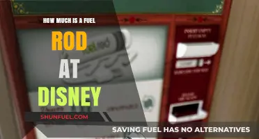 Fuel Rods at Disney: Understanding the Cost