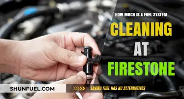 Firestone Fuel System Cleaning: Cost and Benefits