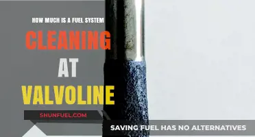 Valvoline Fuel System Cleaning: Cost and Benefits