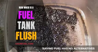 Fuel Tank Flush: Cost and Benefits