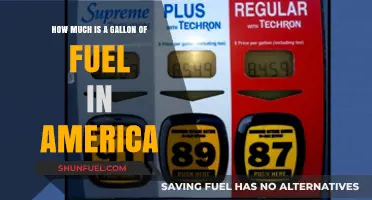 Fuel Prices: America's Gallon Cost Analysis
