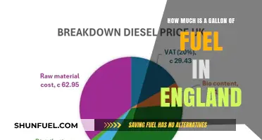 Fuel Prices in England: Gallon Rates Explored