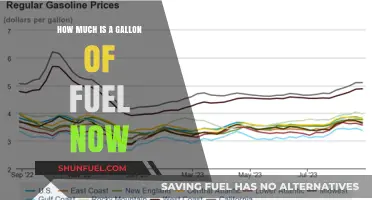 The Cost of Fuel: A Gallon's Price Today