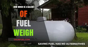 The Weight of Fuel: Gallon's Impact