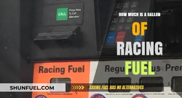Racing Fuel: Gallon Price and Performance