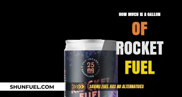 The High Cost of Rocket Fuel: Gallon by Gallon