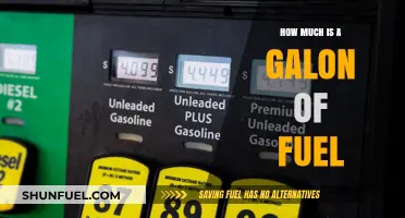 The Cost of Fuel: Gallon Price Breakdown