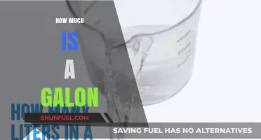 The Cost of a Gallon: Understanding Liquid Measurements