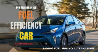 Fuel-Efficient Cars: How Much Can You Save?