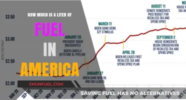 Fuel Prices: America's Litre Cost Analysis