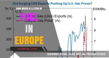 Fuel Prices in Europe: How Much Does a Liter Cost?
