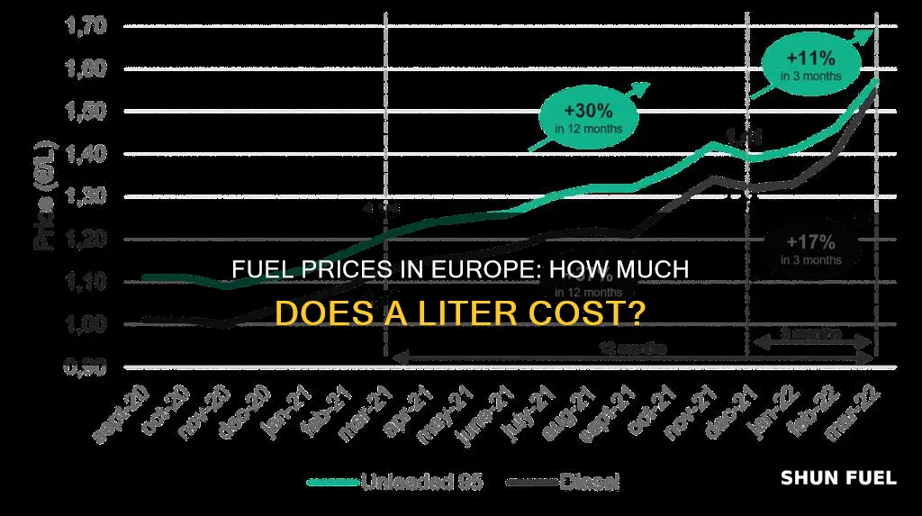 how much is a liter of fuel in europe