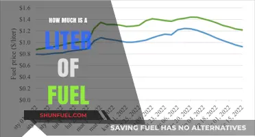 Fuel Prices: A Liter's Cost Explored