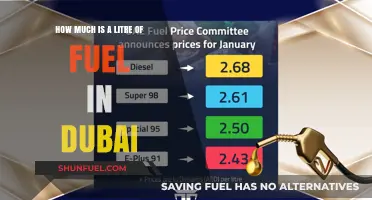 Fuel Prices in Dubai: A Litre's Cost