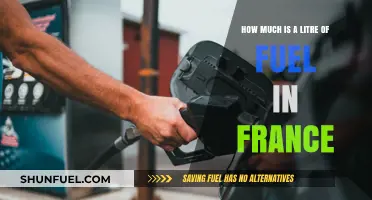 Fuel Prices in France: Cost per Litre