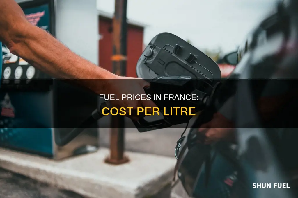 how much is a litre of fuel in france